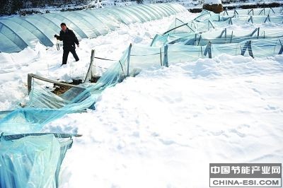 �϶�����������������������֯(��ͼ)