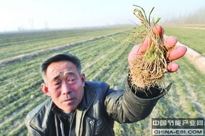 �϶�����������������������֯(��ͼ)