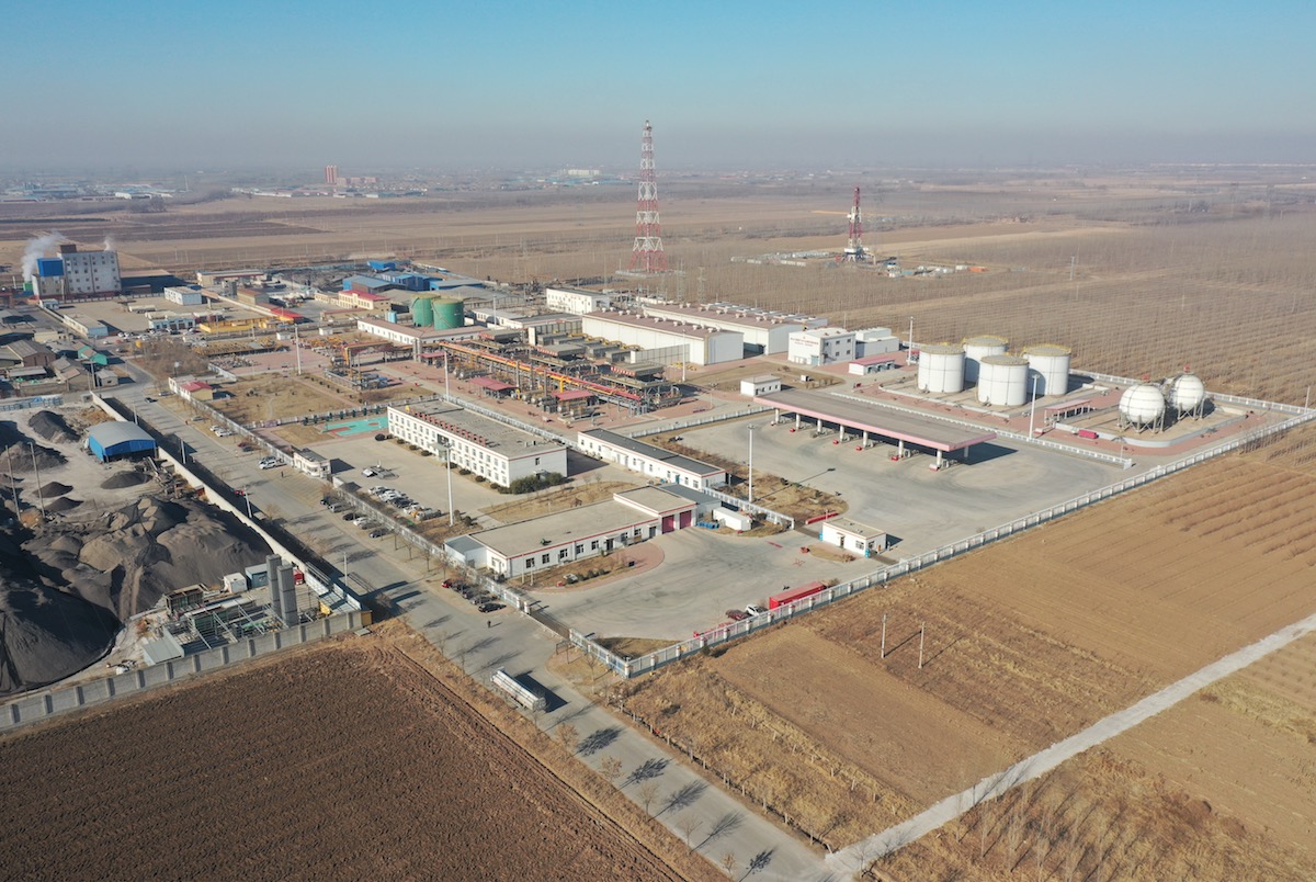 ���Ŵ�����Ⱥ